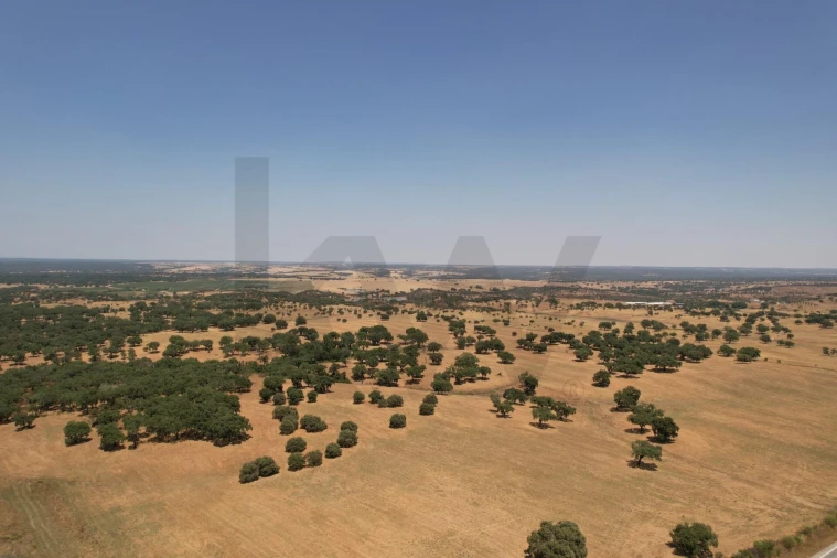 Moradia T4 para Venda em Vendas Novas Foto 51