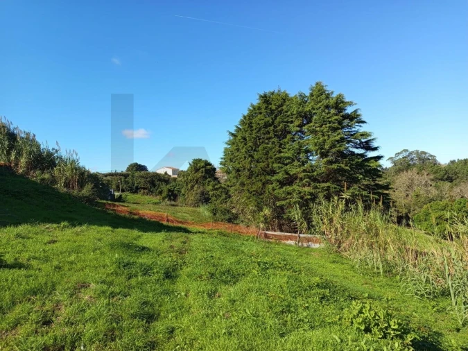 Terreno para Venda em Caldas da Rainha - Santo Onofre e Serra do Bouro Foto 8