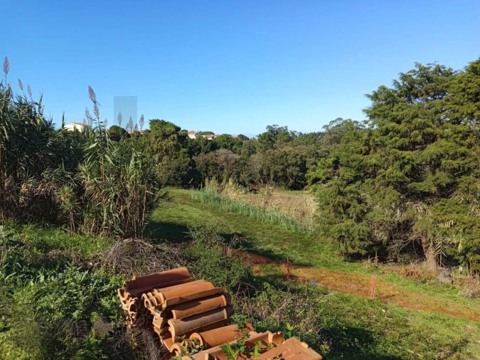 Terreno para Venda em Caldas da Rainha - Santo Onofre e Serra do Bouro Foto 9