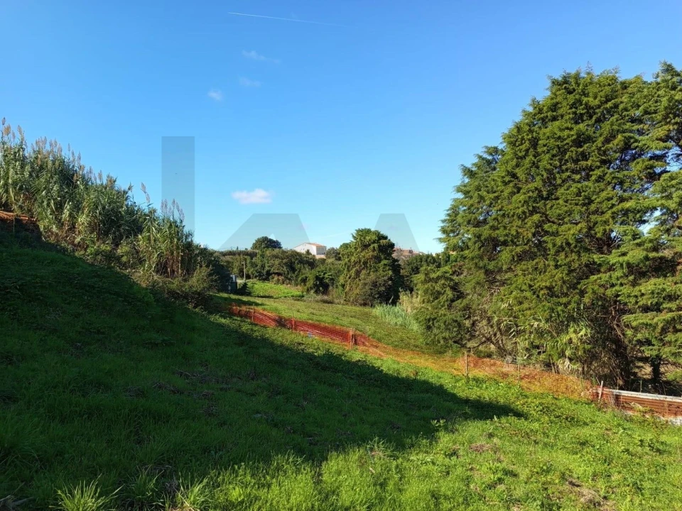Terreno para Venda em Caldas da Rainha - Santo Onofre e Serra do Bouro Foto 5