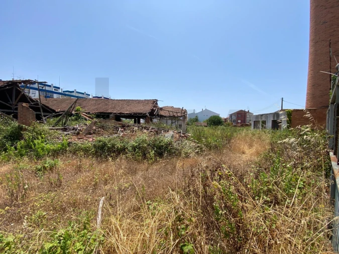 Terreno para Venda em Rio Maior Foto 10