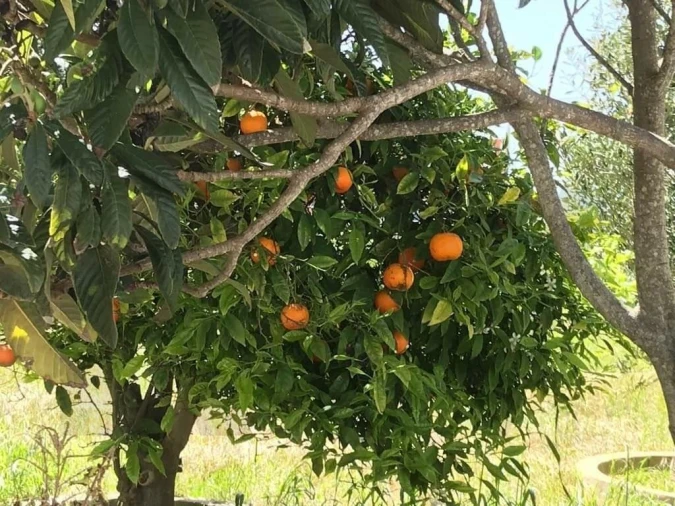 Moradia T9 para Venda em Vila de Sagres Foto 37