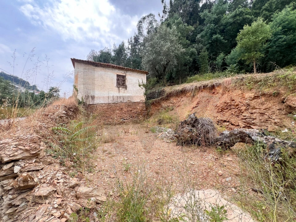 Quinta T3 para Venda em Torres do Mondego Foto 2