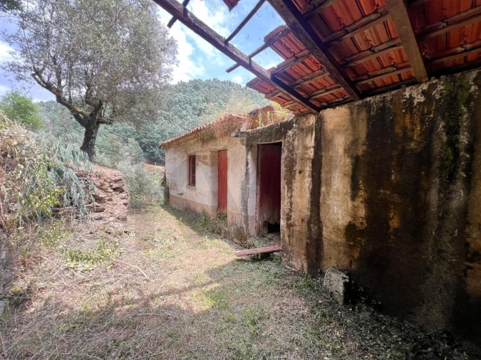 Quinta T3 para Venda em Torres do Mondego Foto 13