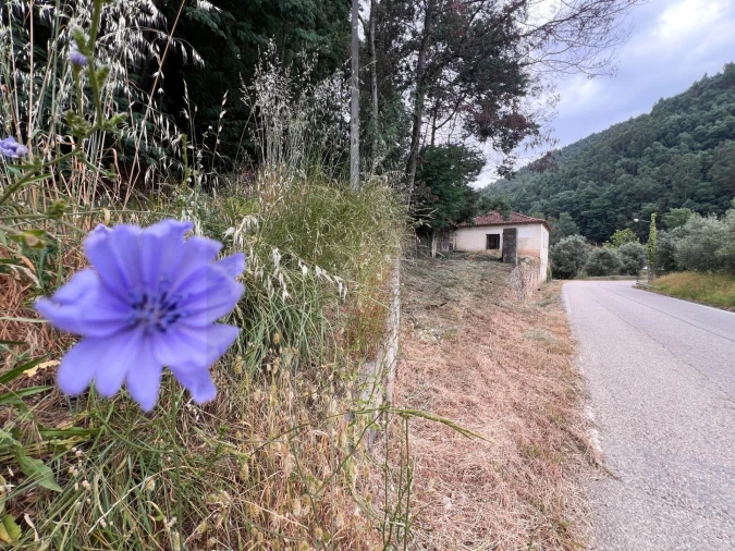 Quinta T3 para Venda em Torres do Mondego Foto 21