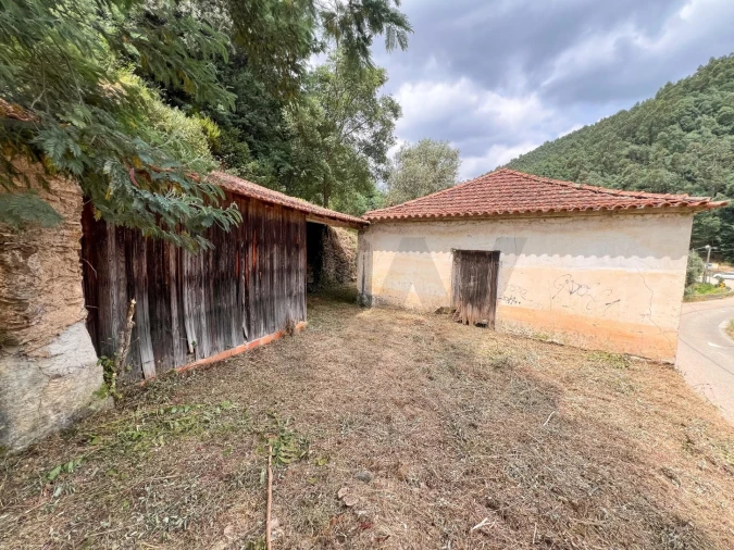 Quinta T3 para Venda em Torres do Mondego Foto 8