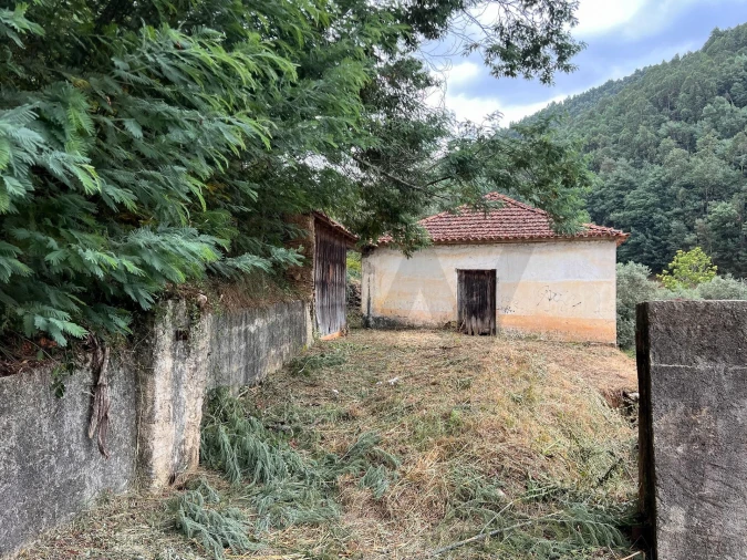 Quinta T3 para Venda em Torres do Mondego Foto 16