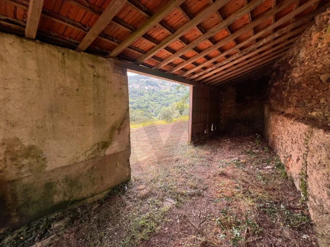 Quinta T3 para Venda em Torres do Mondego Foto 14