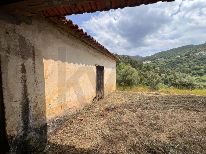 Quinta T3 para Venda em Torres do Mondego Foto 18