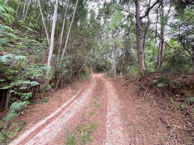 Quinta T3 para Venda em Torres do Mondego Foto 24