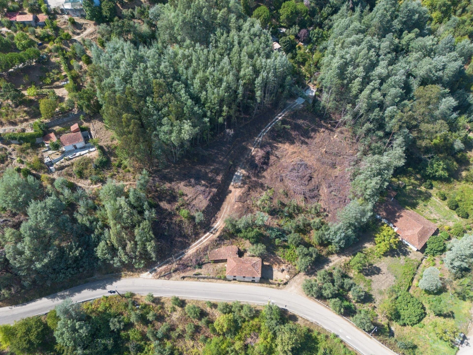 Quinta T3 para Venda em Torres do Mondego Foto 25