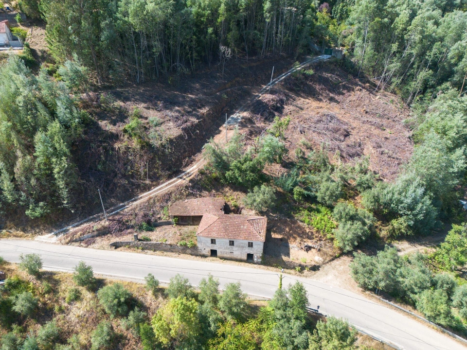 Quinta T3 para Venda em Torres do Mondego Foto 28