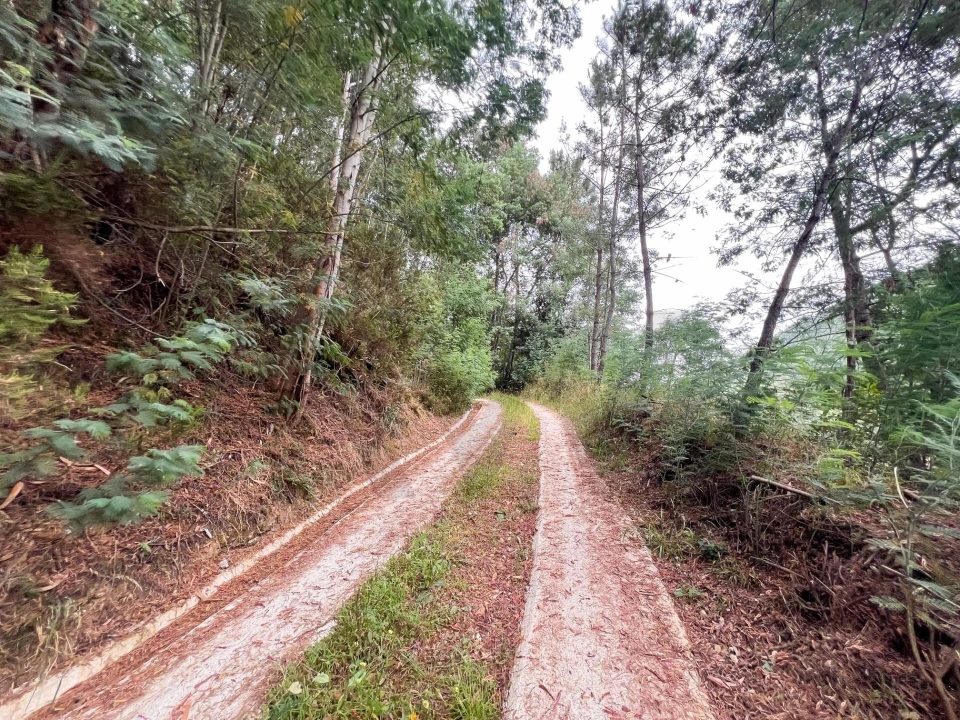 Quinta T3 para Venda em Torres do Mondego Foto 23