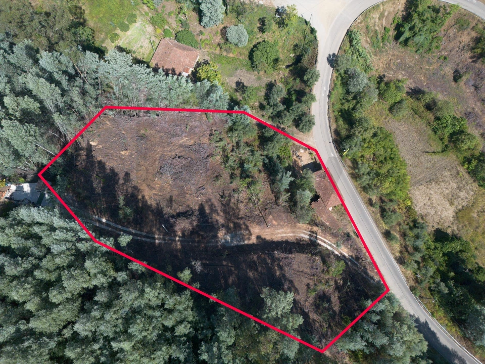 Quinta T3 para Venda em Torres do Mondego Foto 33