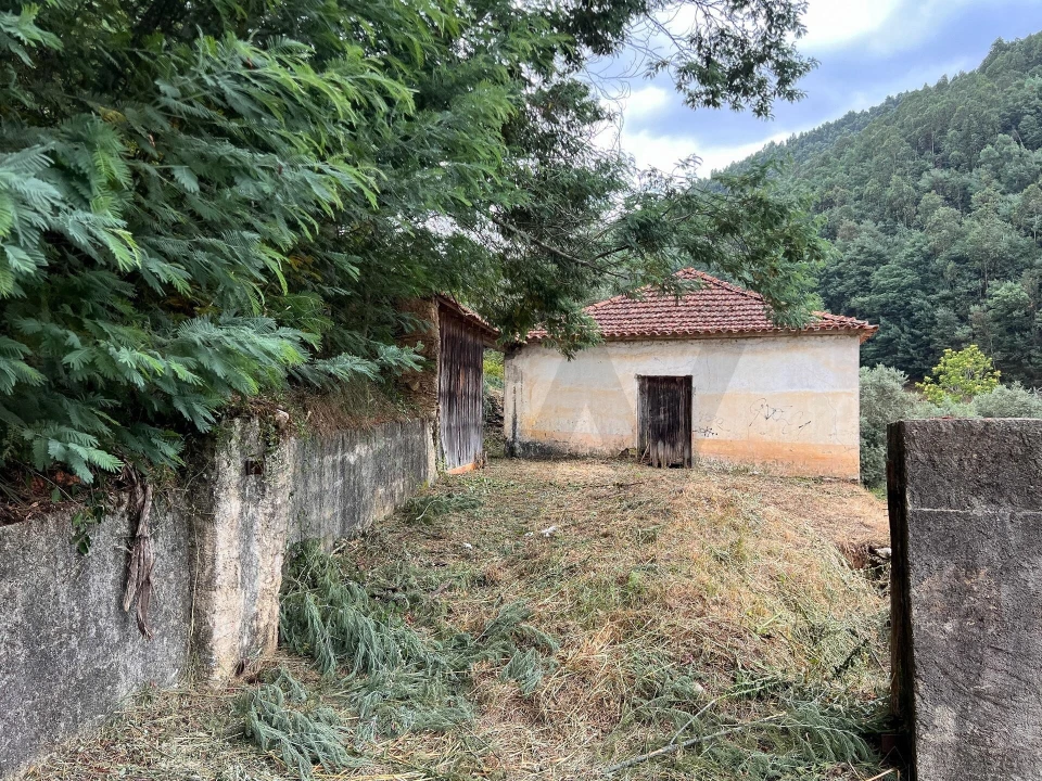 Quinta T3 para Venda em Torres do Mondego Foto 19