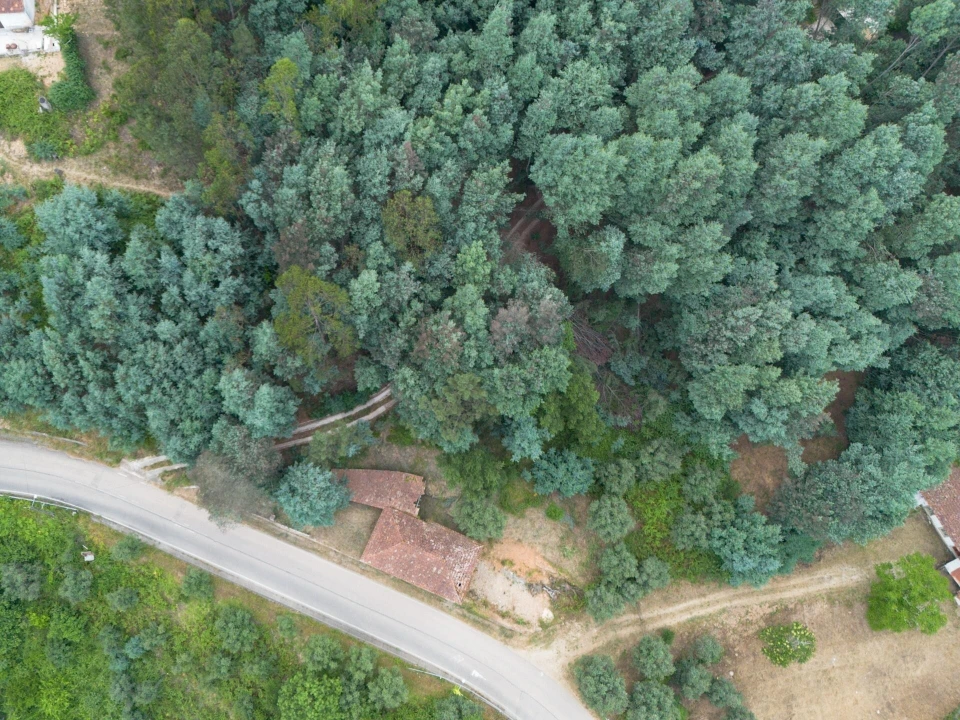 Quinta T3 para Venda em Torres do Mondego Foto 17