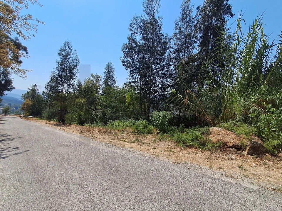 Terreno para Venda em Aboadela, Sanche e Várzea Foto 2