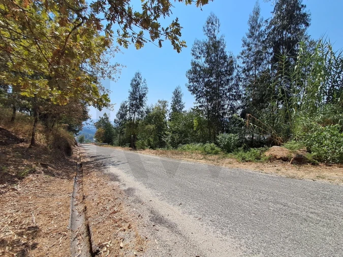 Terreno para Venda em Aboadela, Sanche e Várzea
