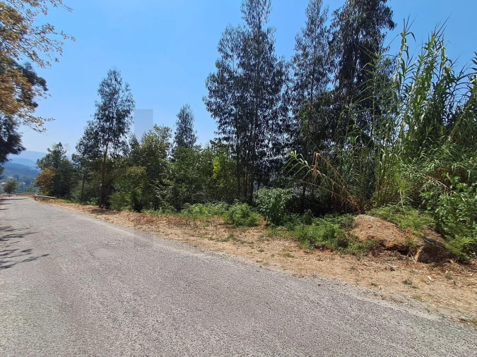 Terreno para Venda em Aboadela, Sanche e Várzea Foto 2
