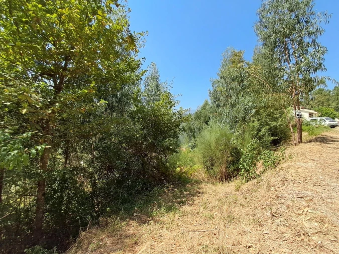 Terreno para Venda em Aboadela, Sanche e Várzea Foto 3