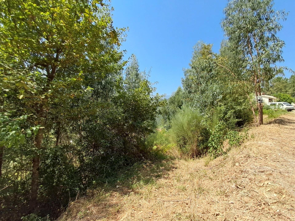 Terreno para Venda em Aboadela, Sanche e Várzea Foto 3