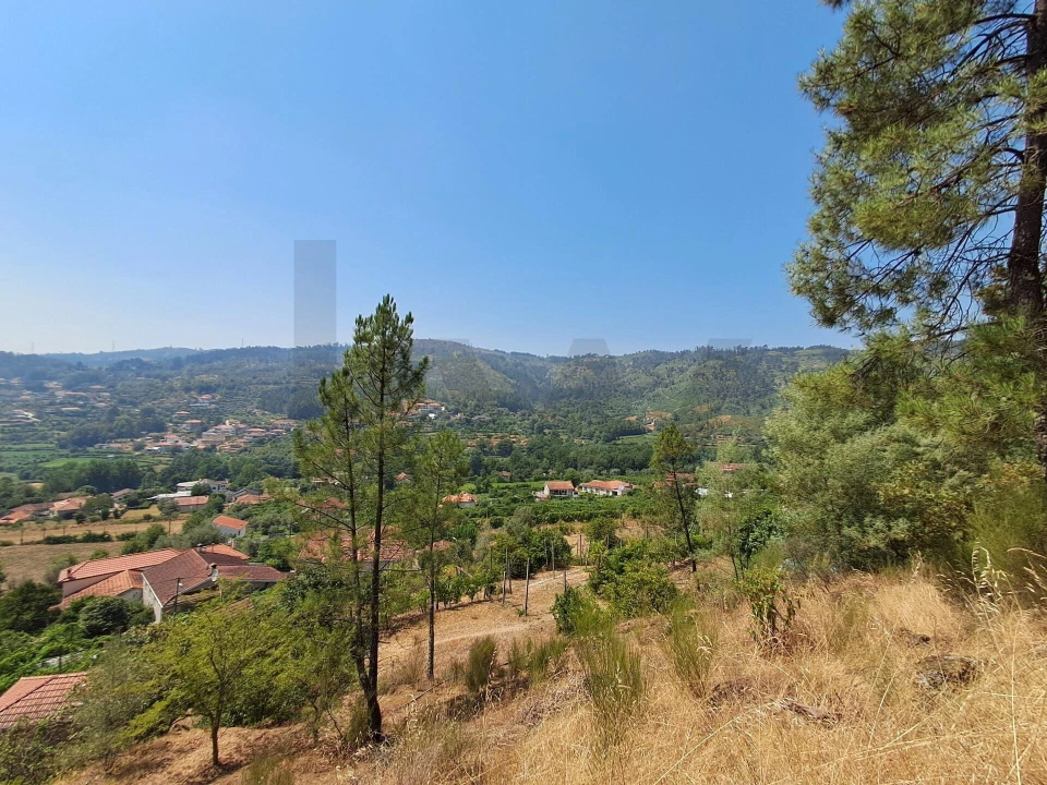 Terreno para Venda em Aboadela, Sanche e Várzea Foto 7