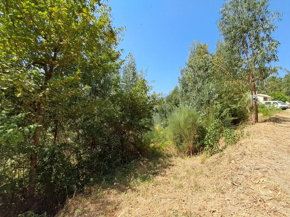 Terreno para Venda em Aboadela, Sanche e Várzea Foto 4