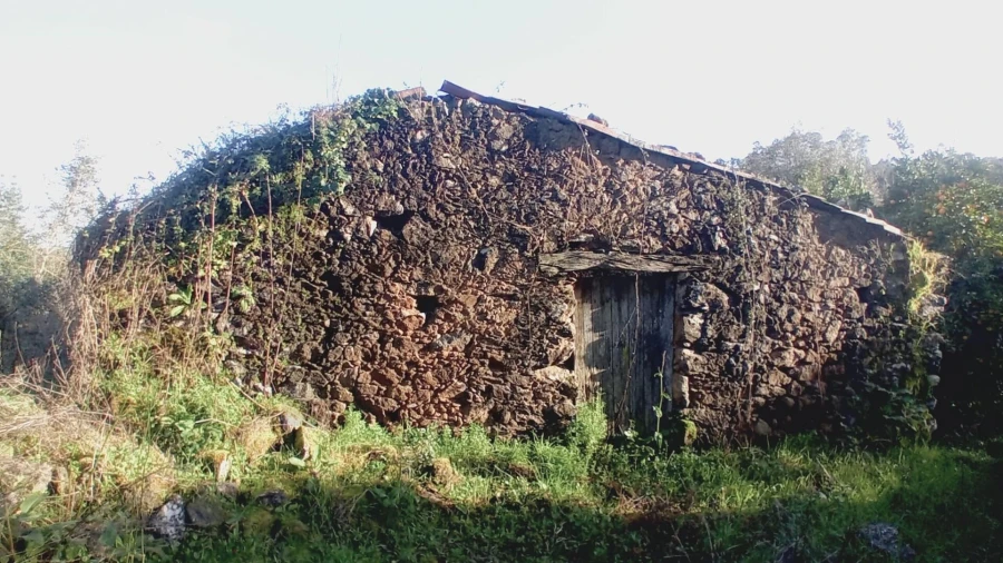 Moradia T2 para Venda em Maçãs de D. Maria Foto 4