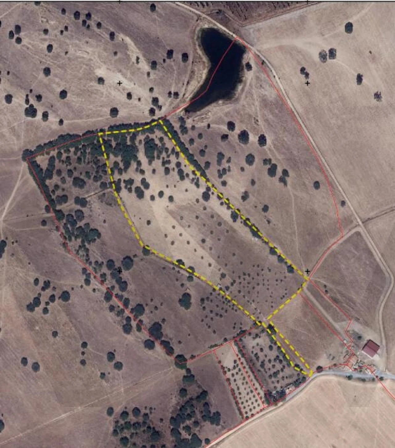 Terreno para Venda em Almodôvar e Graça dos Padrões Foto 21