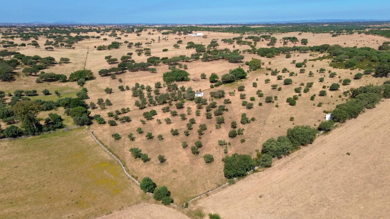 Terreno para Venda em Almodôvar e Graça dos Padrões Foto 10
