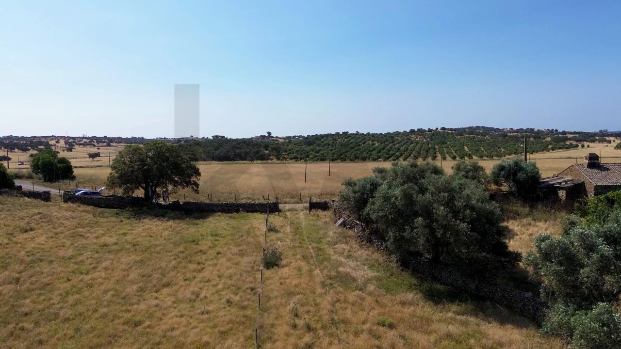 Terreno para Venda em Almodôvar e Graça dos Padrões Foto 6