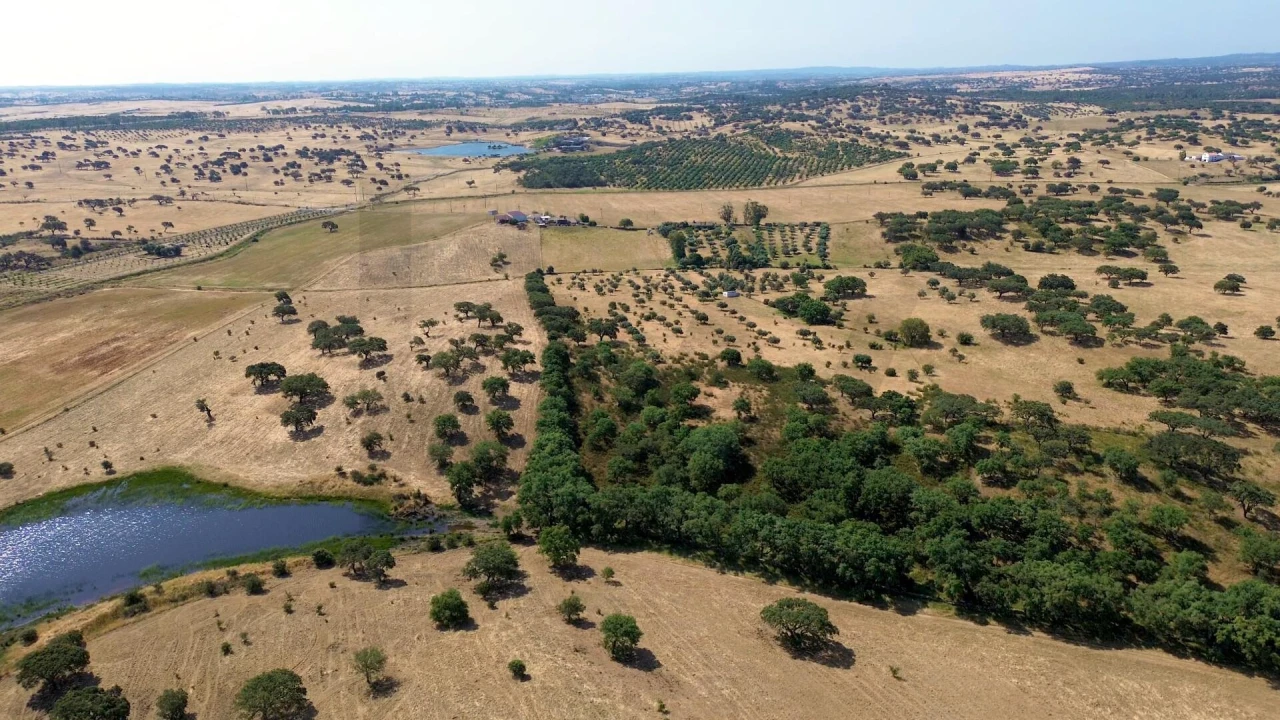 Terreno para Venda em Almodôvar e Graça dos Padrões Foto 17