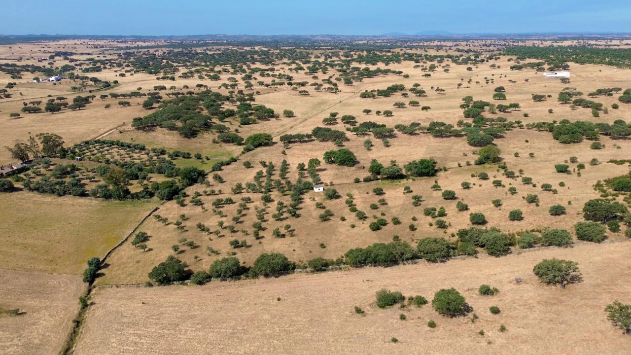 Terreno para Venda em Almodôvar e Graça dos Padrões Foto 11