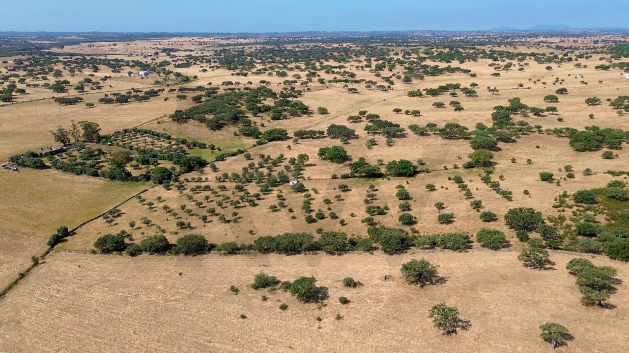 Terreno para Venda em Almodôvar e Graça dos Padrões Foto 4