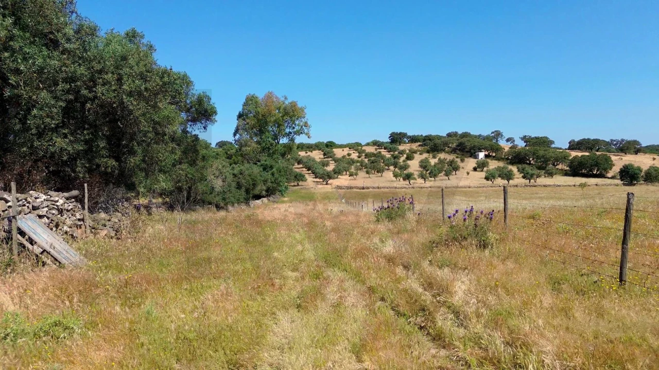 Terreno para Venda em Almodôvar e Graça dos Padrões Foto 7