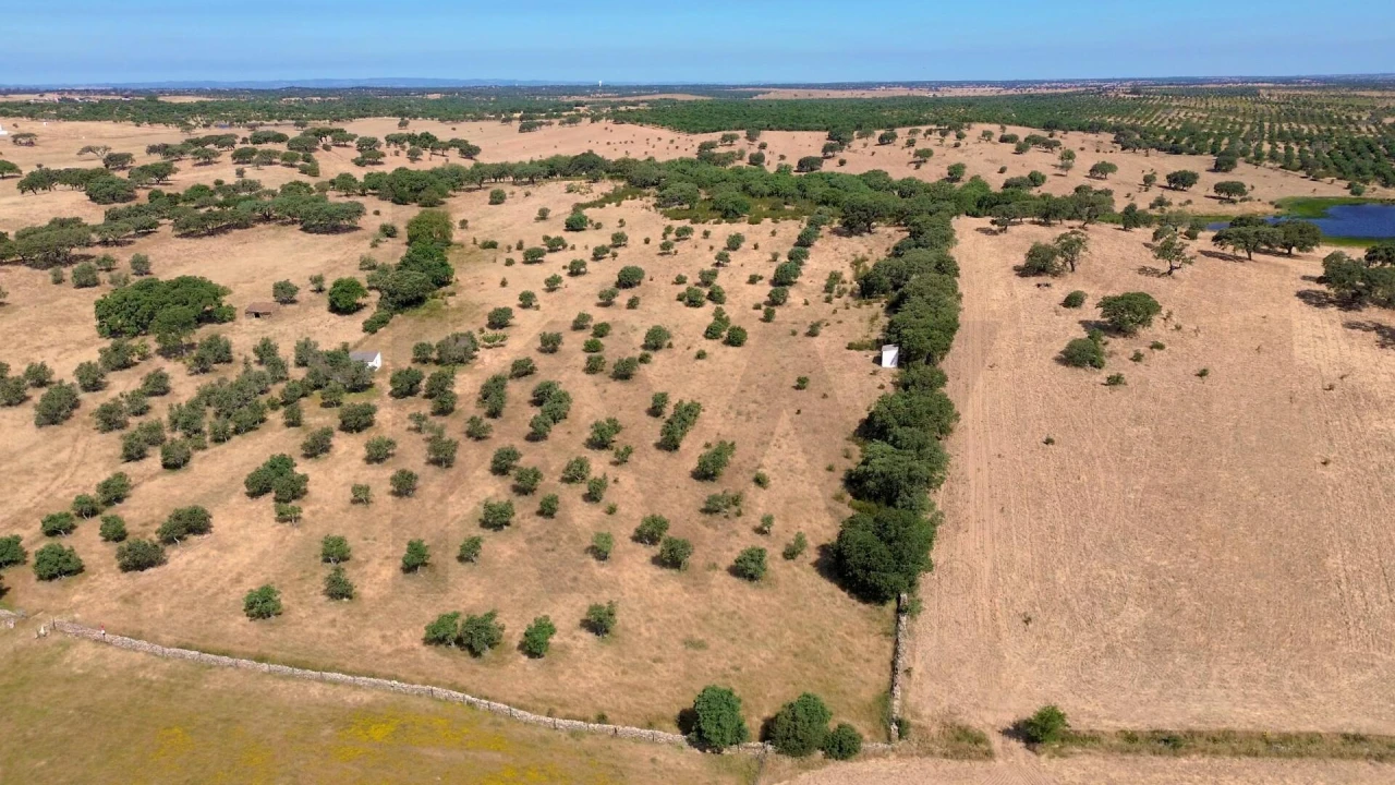 Terreno para Venda em Almodôvar e Graça dos Padrões Foto 9