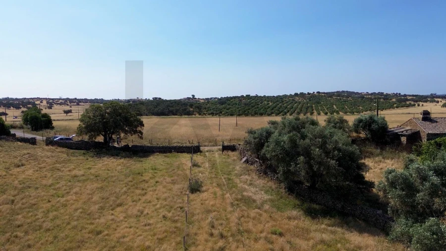 Terreno para Venda em Almodôvar e Graça dos Padrões Foto 5