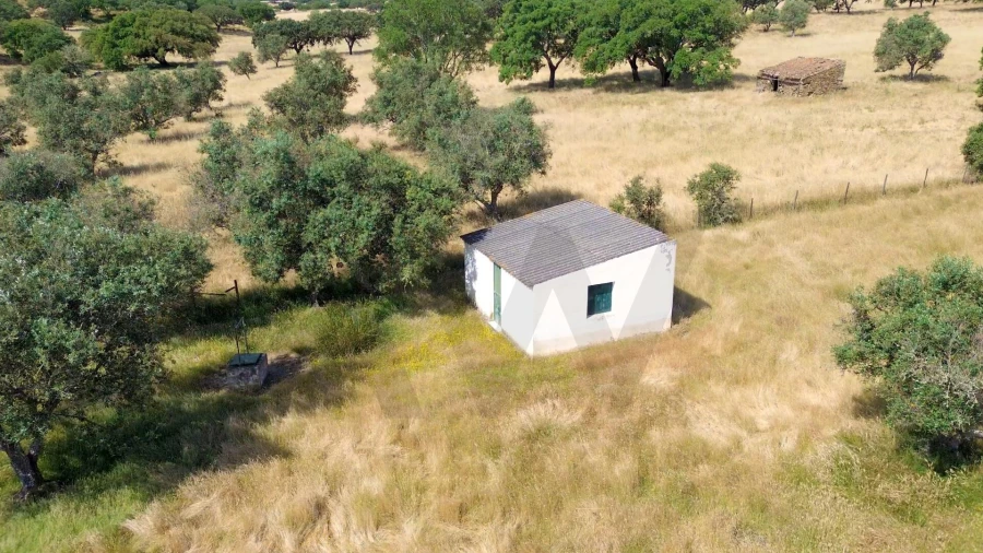 Terreno para Venda em Almodôvar e Graça dos Padrões Foto 14