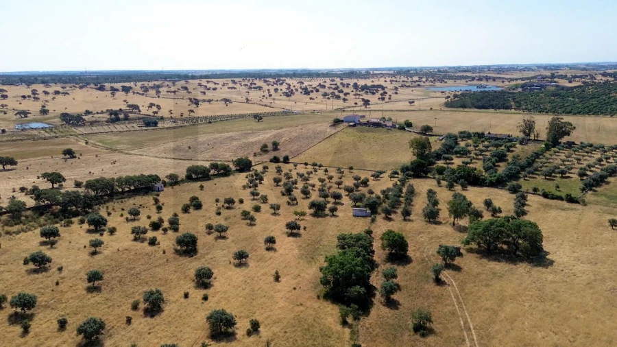 Terreno para Venda em Almodôvar e Graça dos Padrões Foto 20