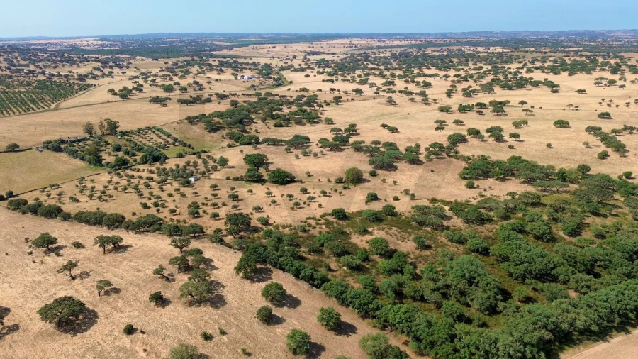 Terreno para Venda em Almodôvar e Graça dos Padrões Foto 16