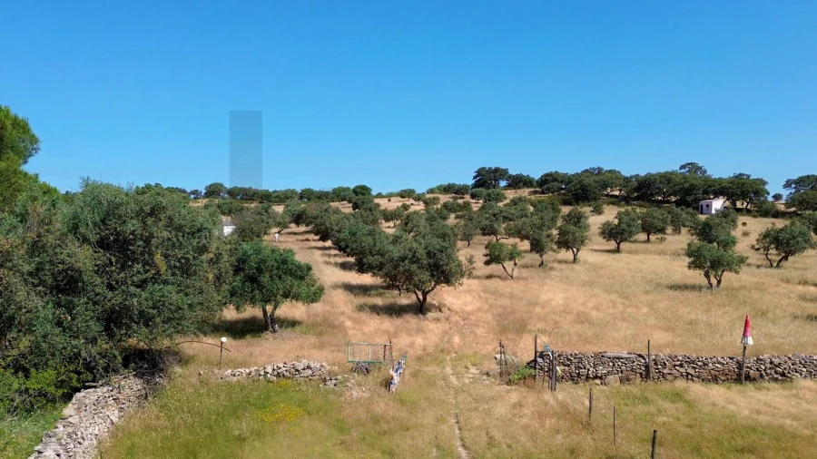 Terreno para Venda em Almodôvar e Graça dos Padrões Foto 2