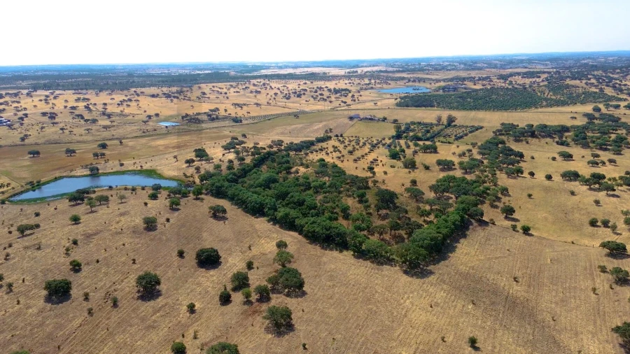 Terreno para Venda em Almodôvar e Graça dos Padrões Foto 4