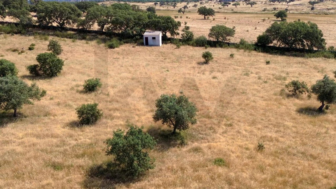 Terreno para Venda em Almodôvar e Graça dos Padrões Foto 15