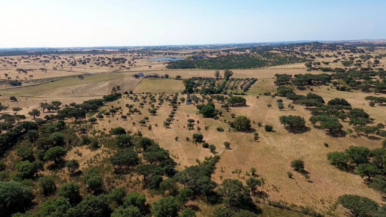 Terreno para Venda em Almodôvar e Graça dos Padrões Foto 13
