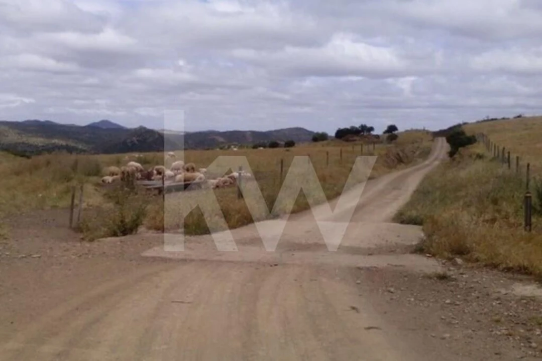 Moradia T3 para Venda em Mertola Foto 17