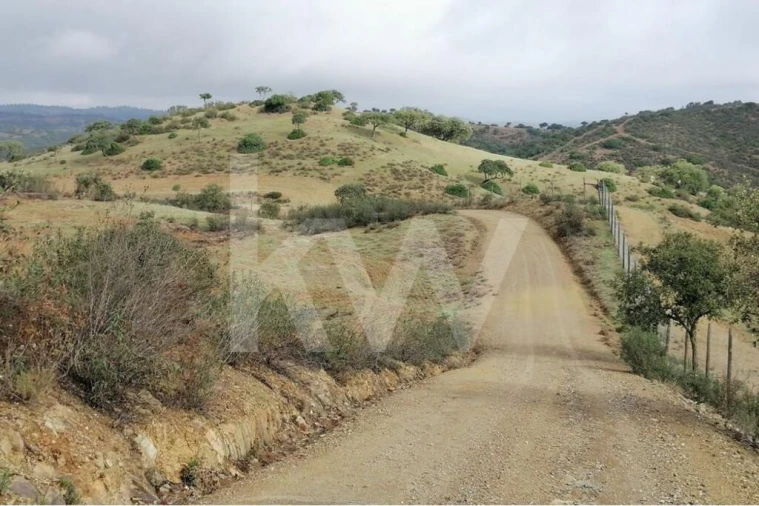 Moradia T3 para Venda em Mertola Foto 24