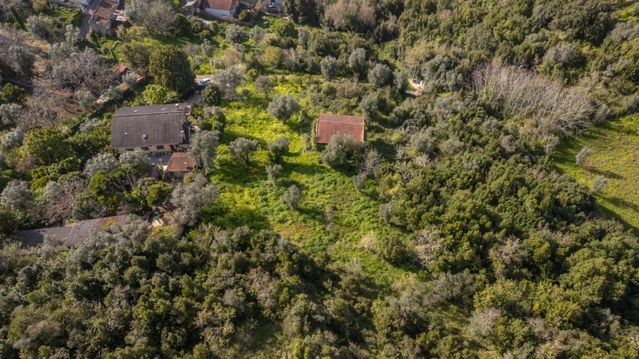 Terreno para Venda em Eiras e São Paulo de Frades Foto 8