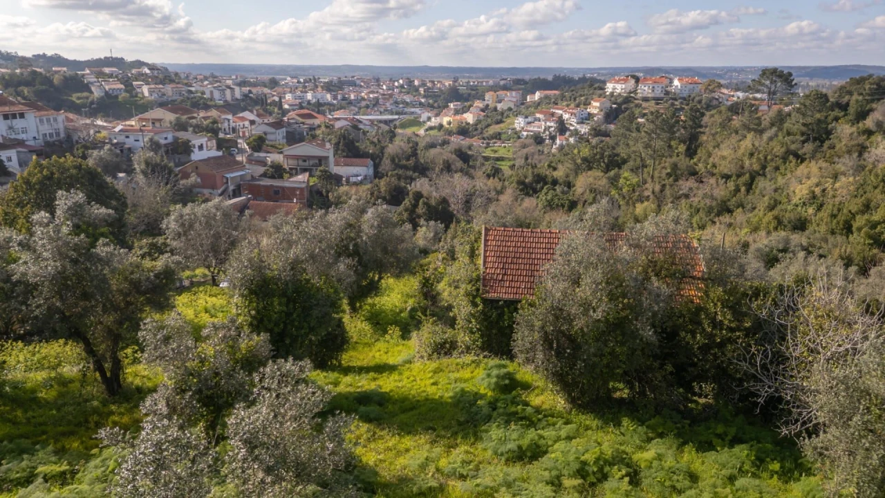 Terreno para Venda em Eiras e São Paulo de Frades Foto 12