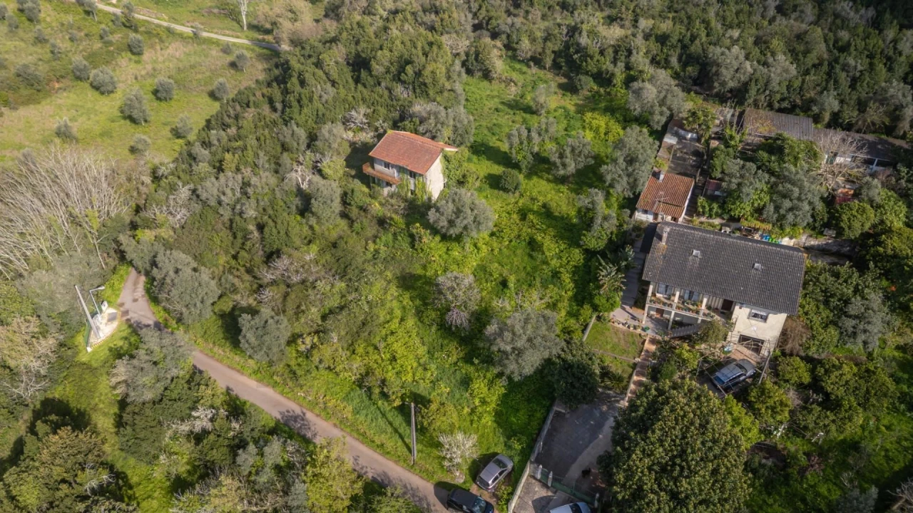 Terreno para Venda em Eiras e São Paulo de Frades Foto 18