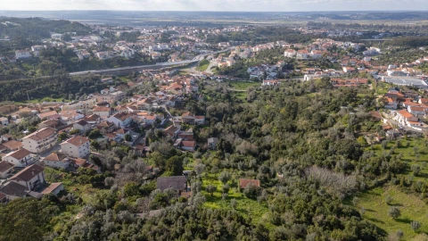 Terreno para Venda em Eiras e São Paulo de Frades